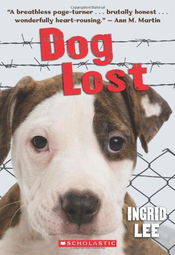 Dog lost very good - dog,