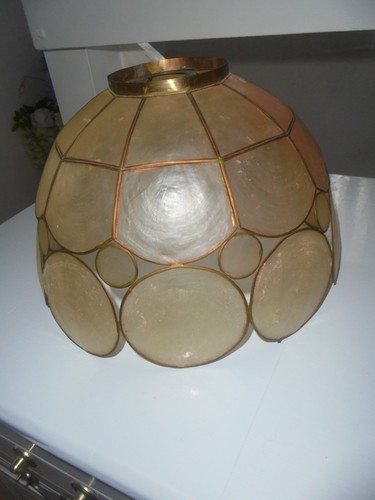 Vintage oyster capiz shell - capiz,