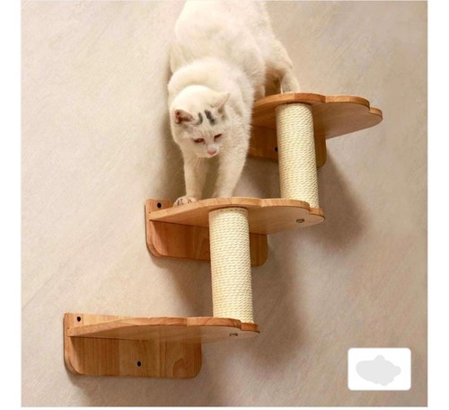 Petomg cat wall - cat,