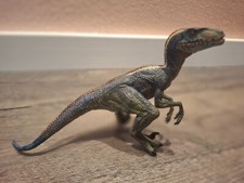 31. JP Multicoloured Raptor