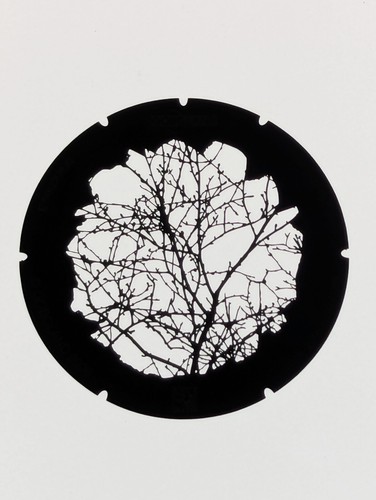 285 003 860 branches 3 - -,