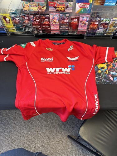 Llanelli scarlets rugby home - scarlets,