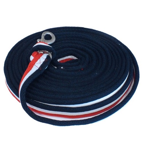 Whitaker international lunge - -,