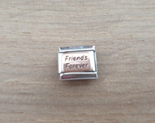 Genuine Nomination Stainless