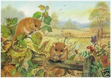 Babington - Dormice &