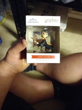 Hallmark ornaments harry - ornaments,