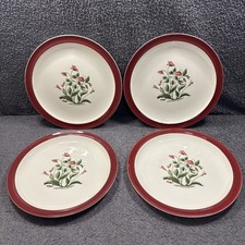 4 x Wedgwood Ruby Red Mayfield