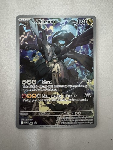 Zekrom - ns,