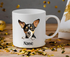 Rat Terrier Dog Peeping Puppy