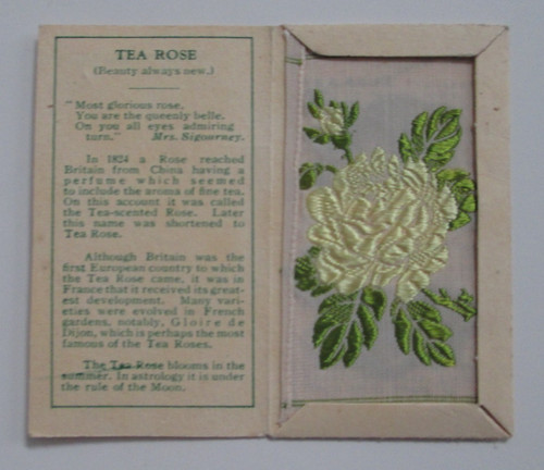 Wix kensitas tobacco small - wix,