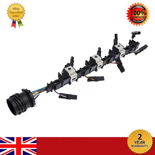 Diesel injector wiring - injector, loom