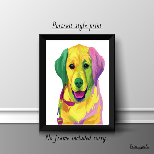 Labrador dog pet picture - labrador,