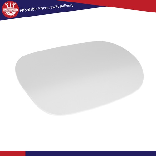 Fuel tank door - tank,