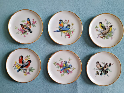 Kaiser porcelain dishes bird - porcelain, dishes,