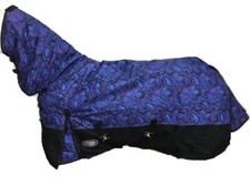 AXIOM 1800D BALLISTIC PURPLE