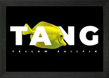 Yellow Tang Reef Keeper Framed