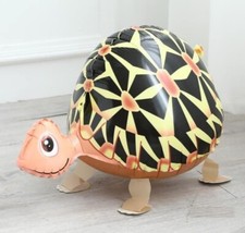 Turtle balloon walking - walking, pet