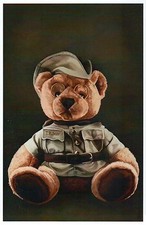 Teddy Bear, Named for President Theodore Roosevelt, Animal Toy - Modern Postcard