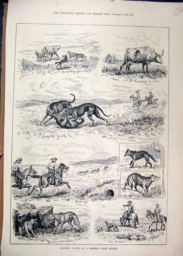 Original old antique print - antique,