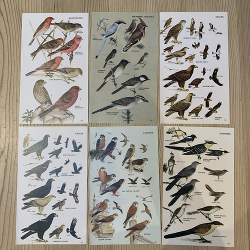 Vintage 1972 book plate - 6x,