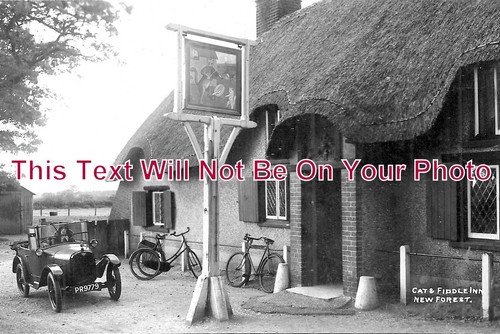 1619 cat fiddle inn - &,