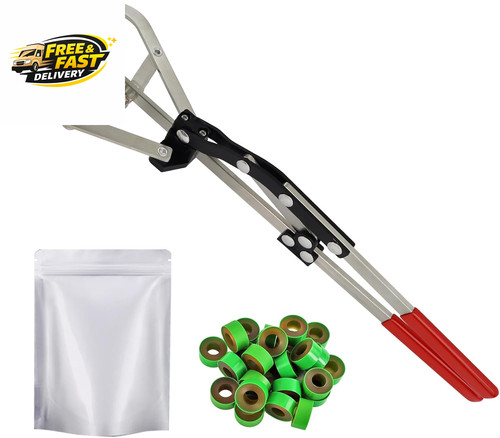 Cattle banding tools calves - banding,