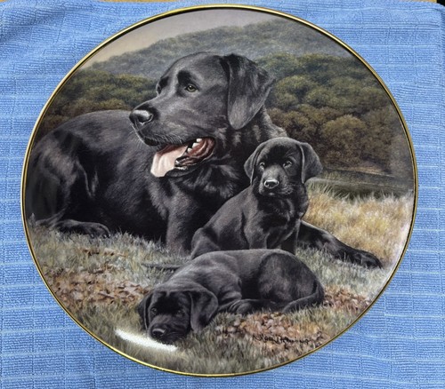 Franklin mint labrador - mint,