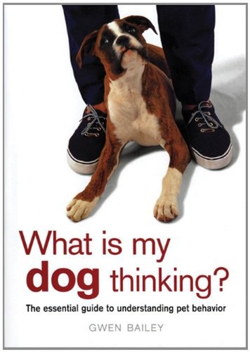 What dog thinking - is, my