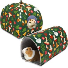 Ktcina 2pcs guinea - ktcina, house