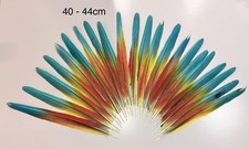 Parrot Macaw Feather Crafts
