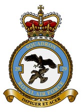 RAF 29 SQUADRON BADGE ON METAL