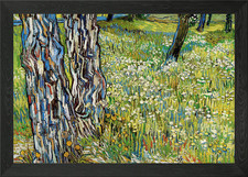 Tree trunks in the grass Framed Wall Art Poster Canvas Print Picture