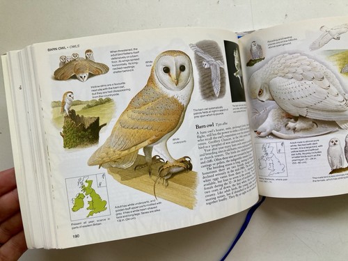 Field guide the birds - the,