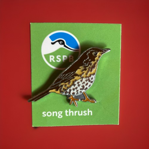 Rspb pin badge song - ,
