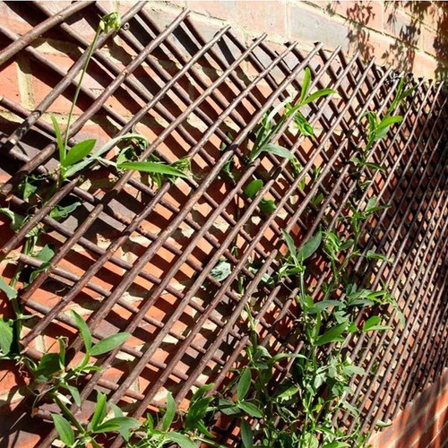 Willow trellis expanding - trellis,