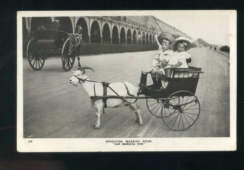 Brighton sussex madeira drive - madeira,