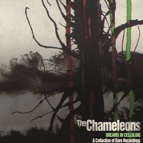 The chameleons dreams - the,