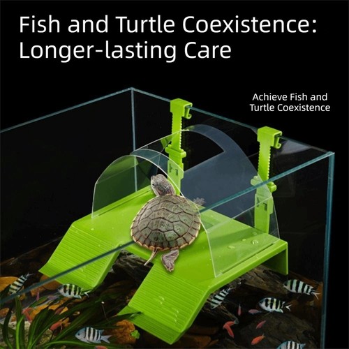 With hooks floating turtle - with,