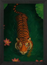 Tiger swimming in water with