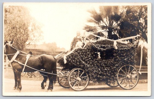 Antique horse drawn carriage