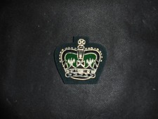 British Army The Rifles Queens