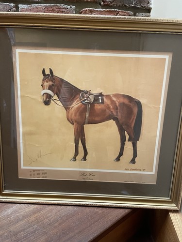 Red rum print signed - rum, by