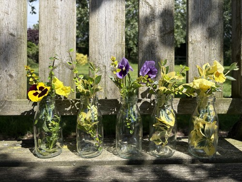 Mini glass milk bottles - milk, bottles*