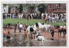  Appleby Horse Fair Photograph