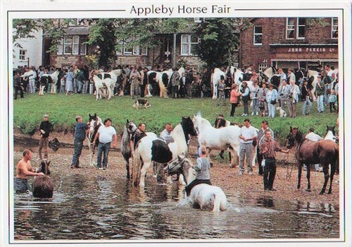 Appleby horse fair - , photograph