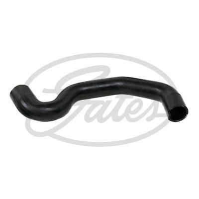 Radiator hose for - hose,