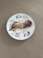 Birdwatchers Notebook Danbury