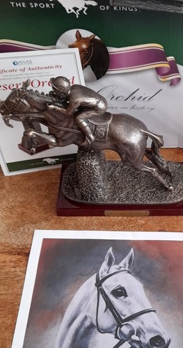 Desert orchid race - desert, horse