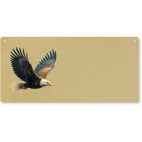 Bald eagle flying door - eagle, flying'
