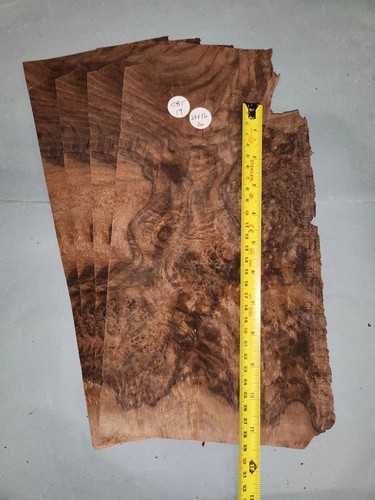 American walnut burr veneer - burr,